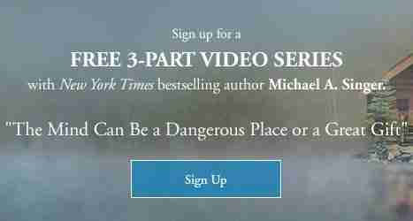 Living From A Place of Surrender - With Michael Singer