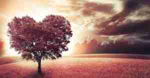 Heart Tree