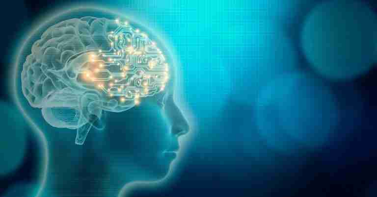 Brain Reboot Workshop: Improve Cognitive Function & Memory - With Morry Zelcovich