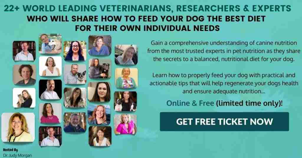 Dog Nutrition Summit 2022