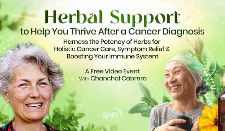Herbal Support to Help You Thrive After a Cancer Diagnosis