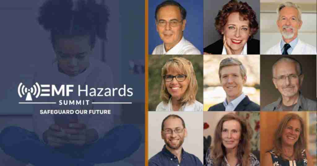EMF Hazards Summit