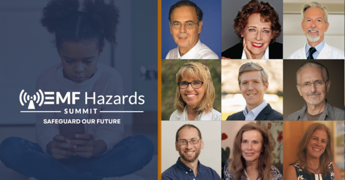 EMF Hazards Summit