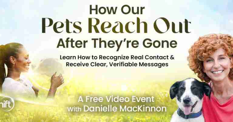 How Our Pets Reach Out After They're Gone - Free Class with Danielle McKinnon