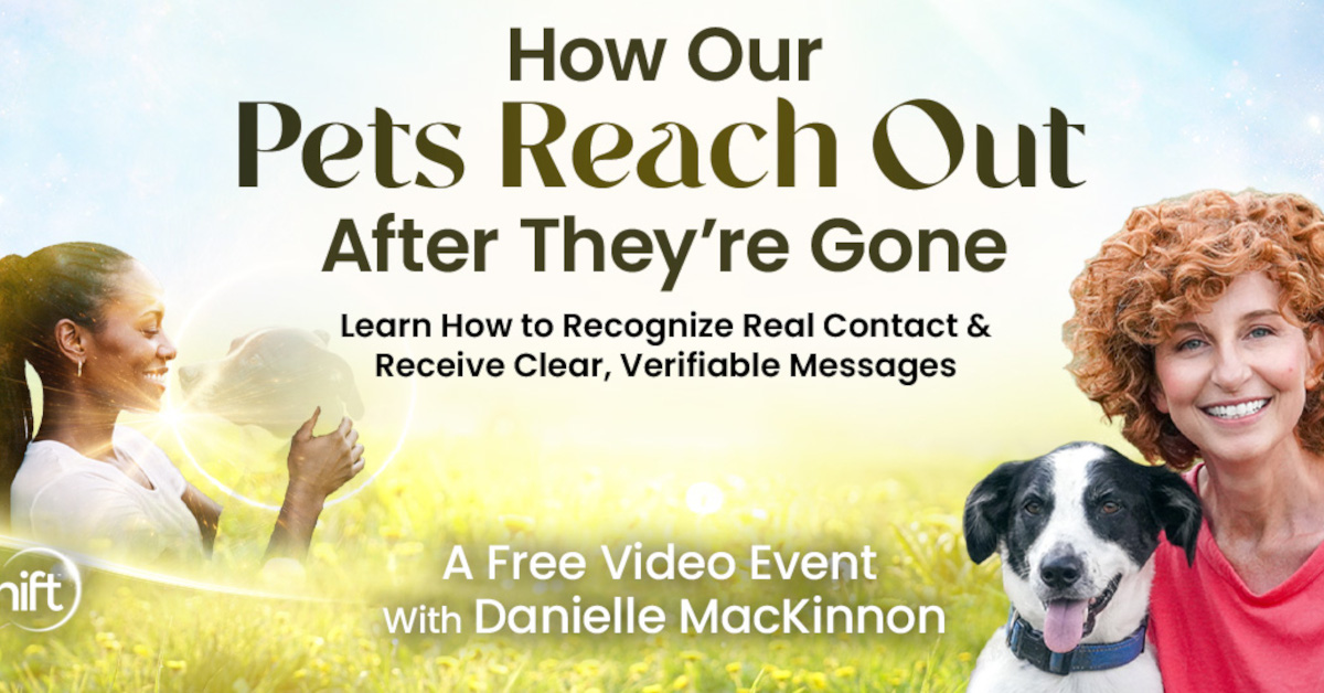 How Our Pets Reach Out After They're Gone - Free Class with Danielle McKinnon