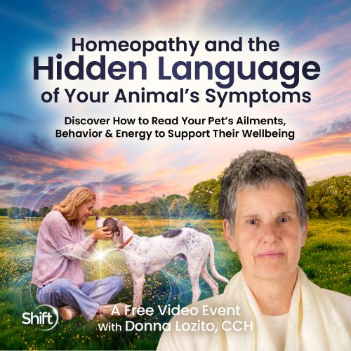 Read the Deeper Language of Your Animal’s Symptoms - Donna Lozito, CCH Read the Deeper Language of Your Animal’s Symptoms with Donna Lozito, CCH