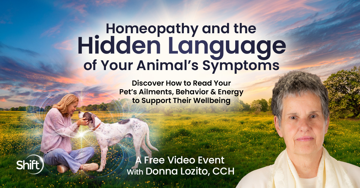 Homeopathy and the Hidden Language of Your Animal's Symptoms - Free Class with Donna Lozito